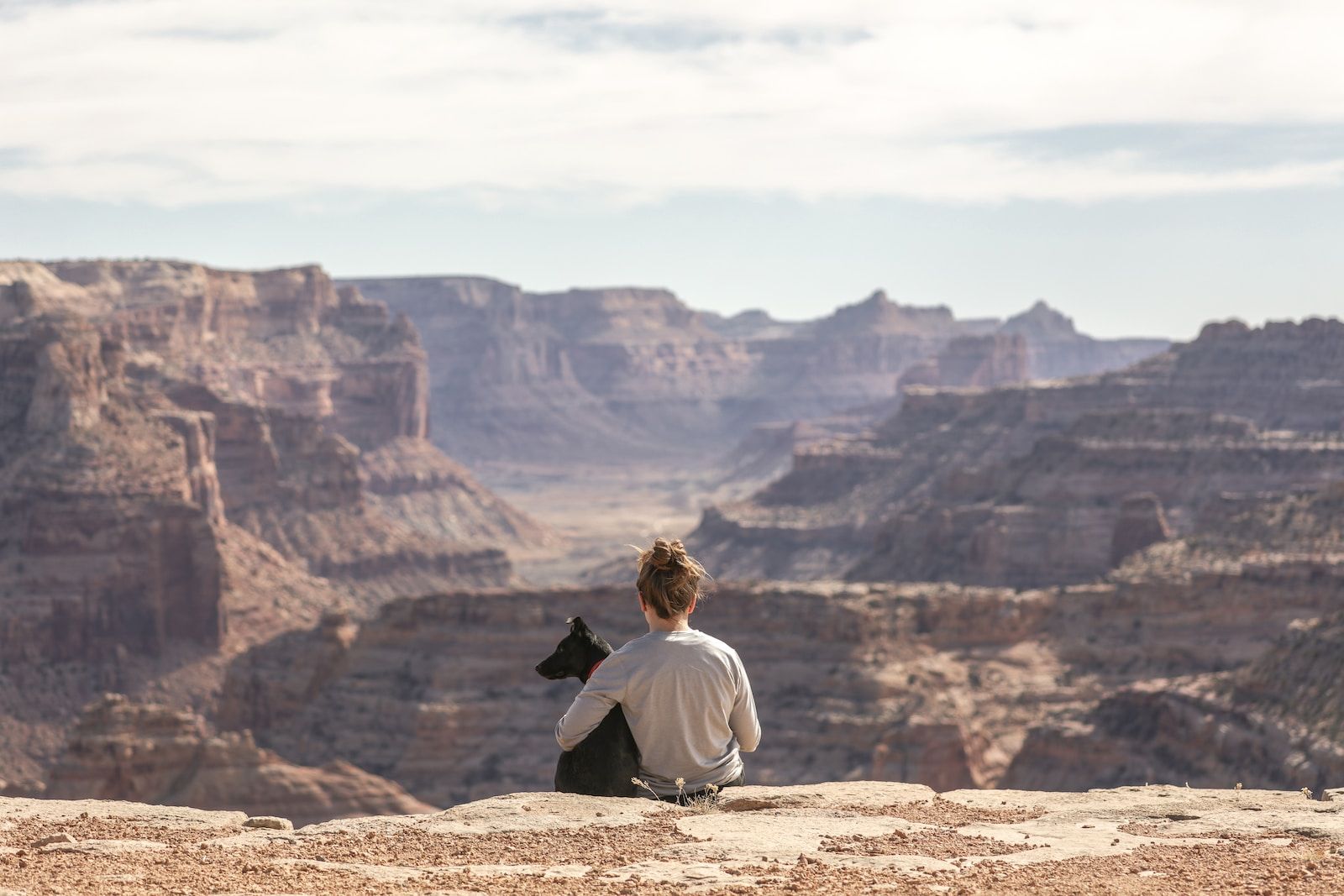 dog-friendly hikes