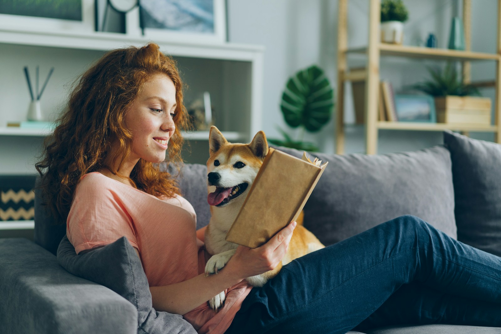 Small Dog Breeds Perfect for Apartment Living