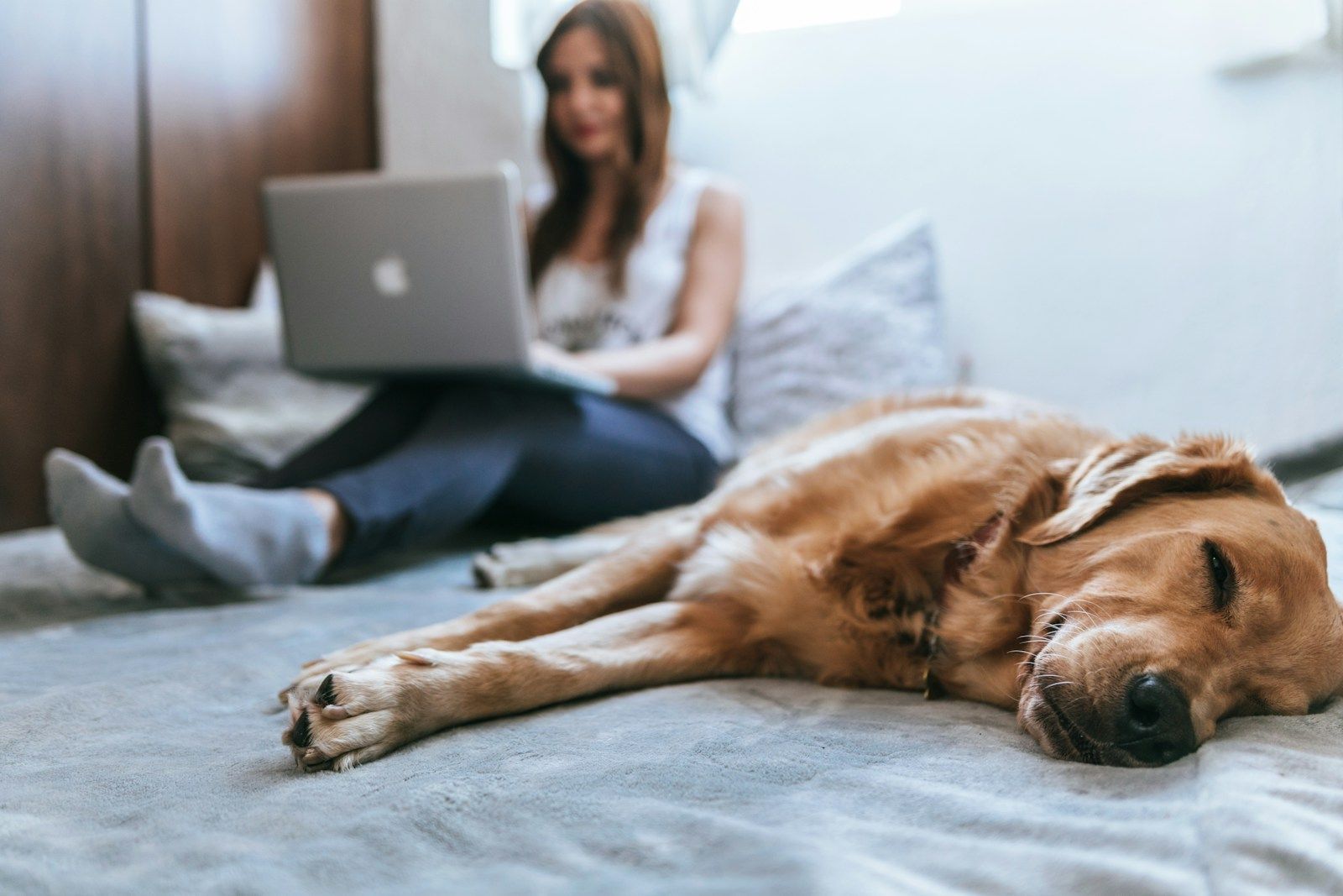 The Health Benefits of Owning a Dog: How Canines Improve Our Lives