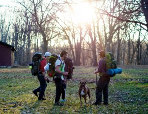 men standing in the middle of forest