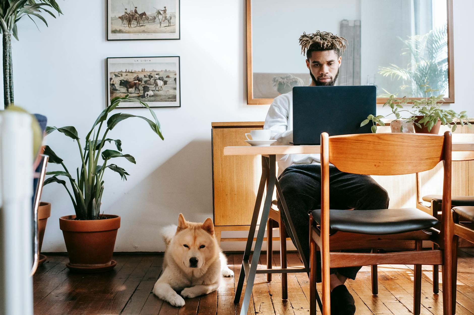 Pet-safe Houseplants: Creating a Dog-friendly Indoor Oasis
