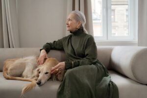 The Complete Greyhound Guide: History, Temperament, Care and More