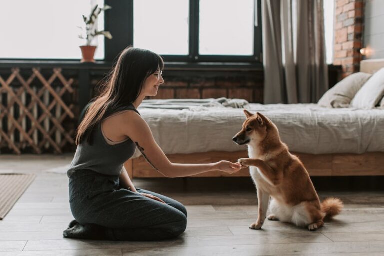 The Complete Basenji Guide: History, Temperament, Care and More